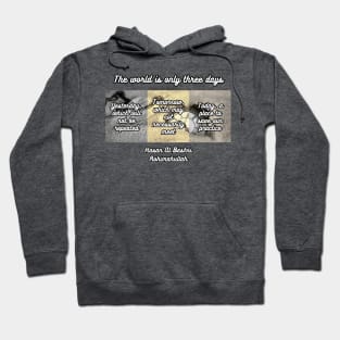 The world is only three days Hoodie